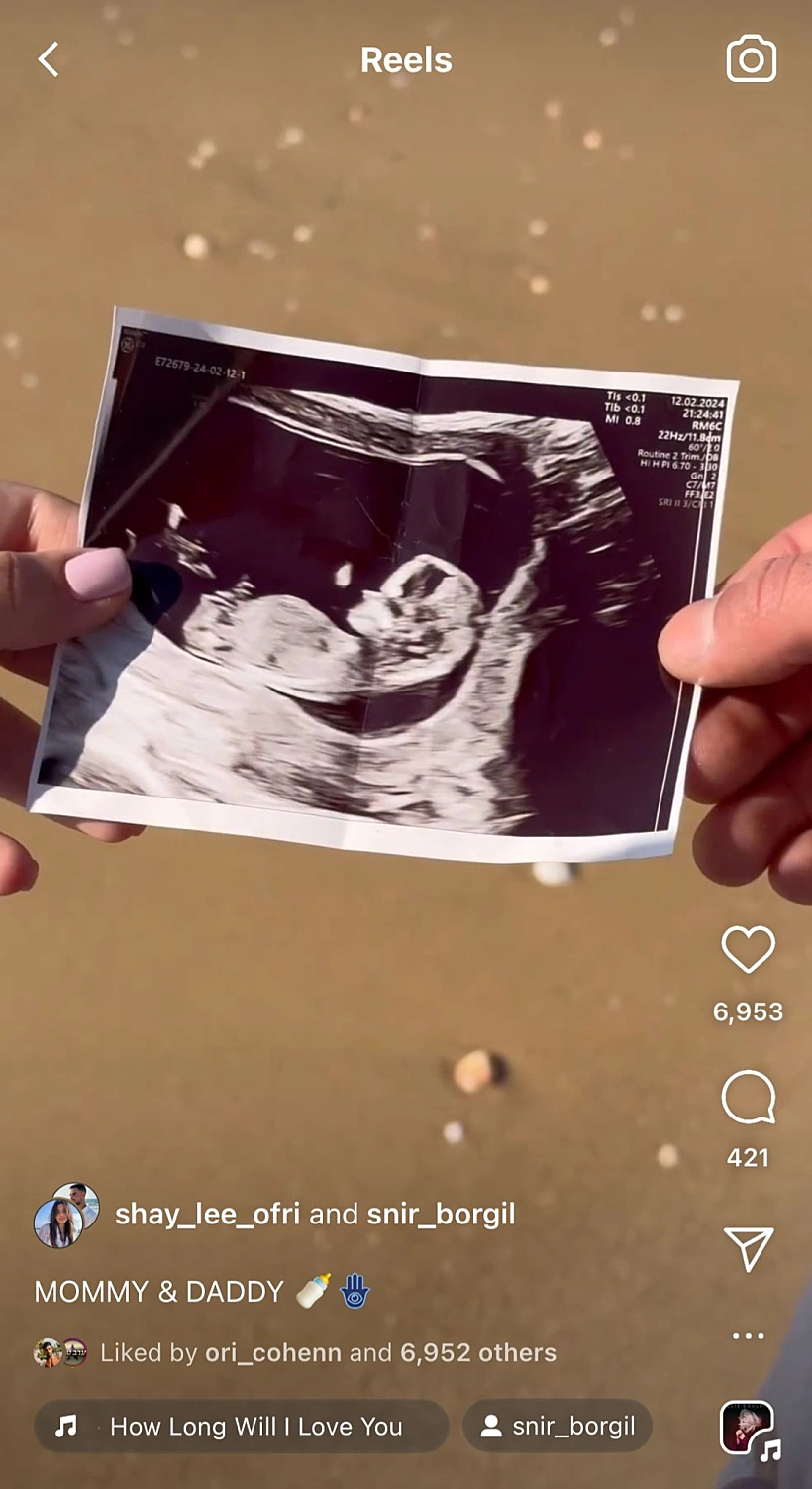 שניר בורגיל, שי עופרי