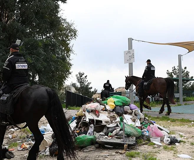 החיפושים בצפת
