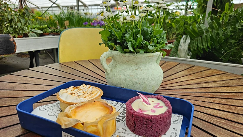 קפה נטע - כפר יהושע