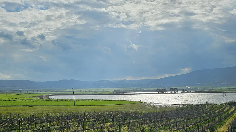 יקב שדות שדה יעקב