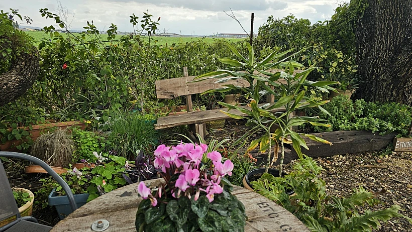 עגלת קפה נטע בכפר כפר יהושע - צילום מיכל בן ארי מנור