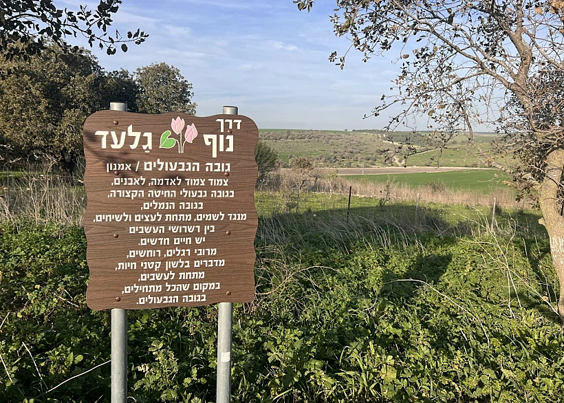 דרך נוף גלעד