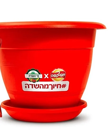 אדנית תפוחי אדמה של נוי השדה ושטראוס