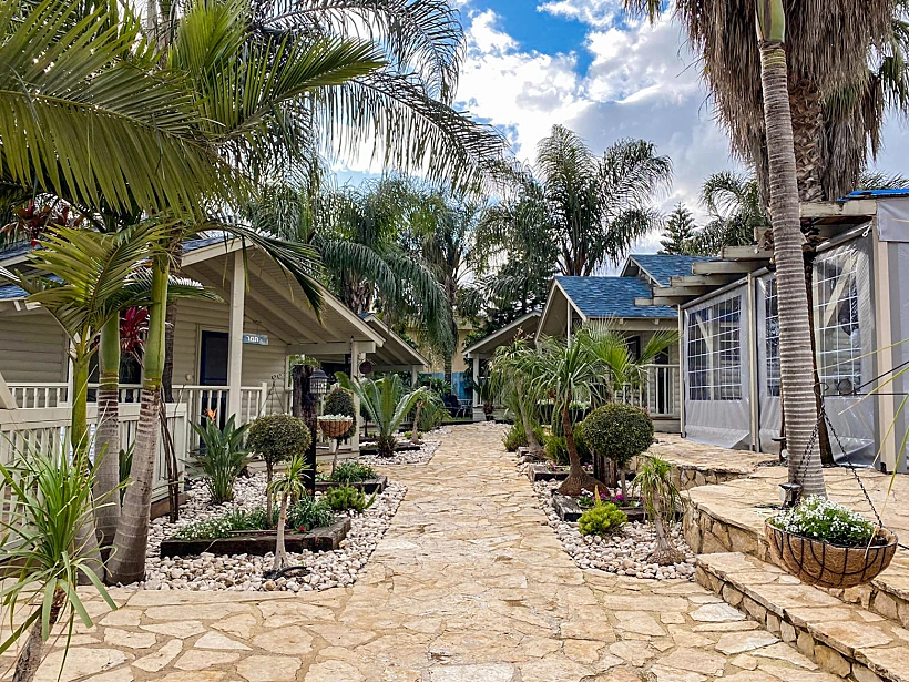 אחוזת הדקל שזור