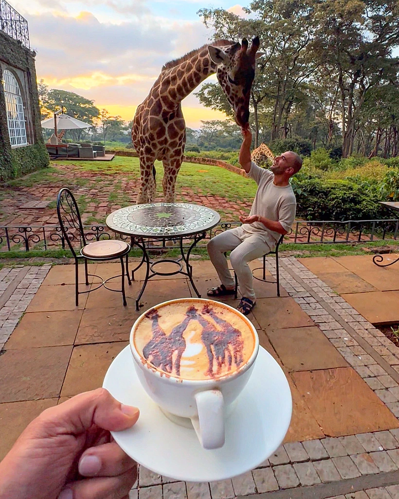 מלון Giraffe manor