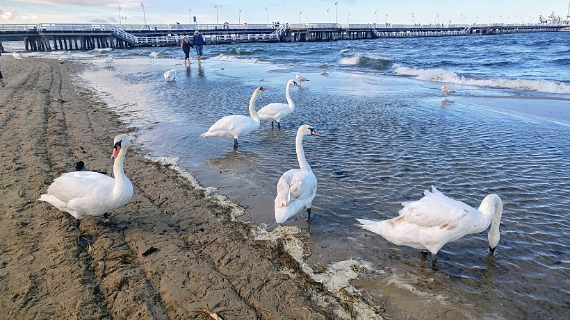 חופשת ספא בפולין