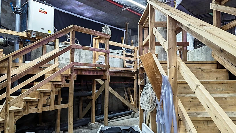 מאחורי הקלעים של אקווריום ישראל