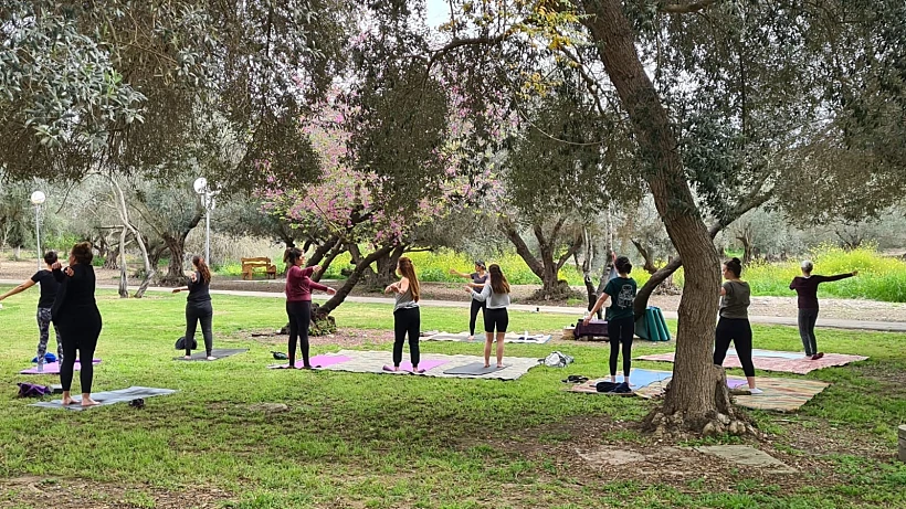 פסטיבל תניניעדה