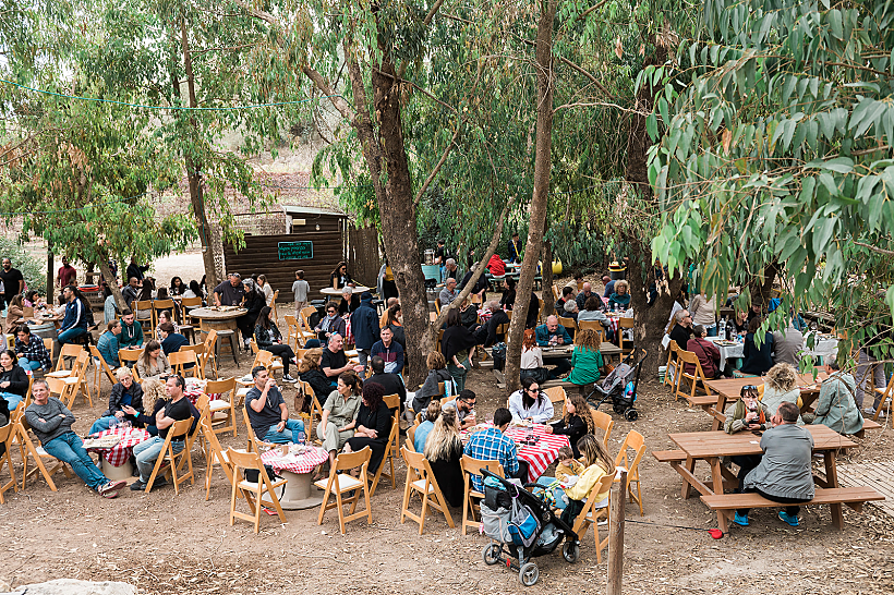 יריד זמן יין