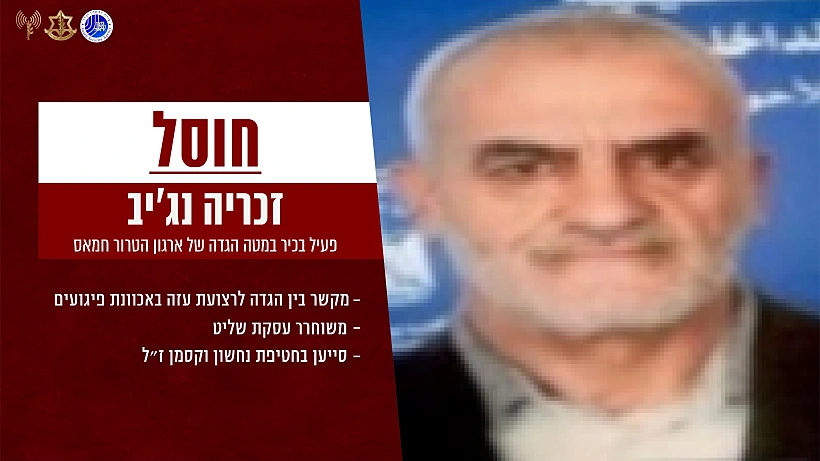 חיסול מחבל