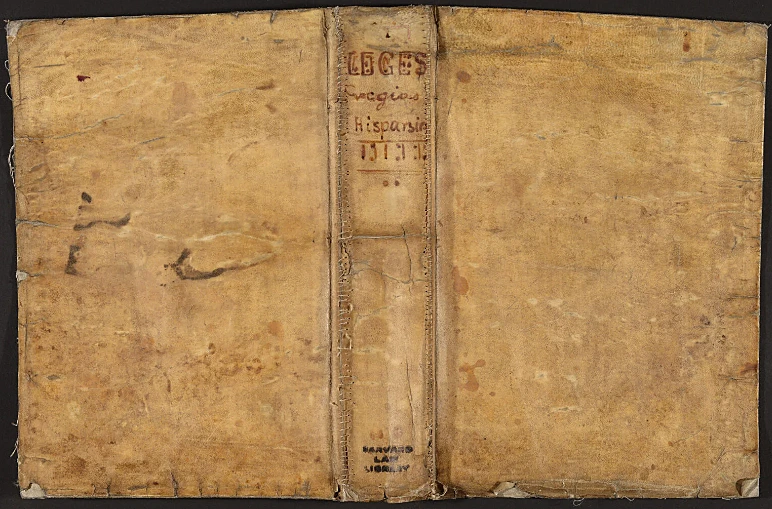 Skin Book 2