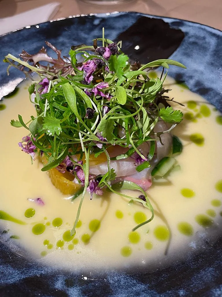 סביצ'ה האמצ'י בויניגרט יוזו אשכוליות