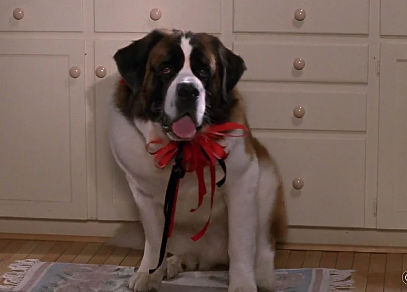 "קוראים לי בטהובן"