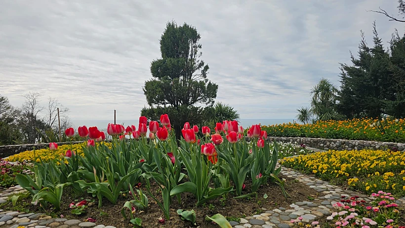 הגן הבוטני של בטומי