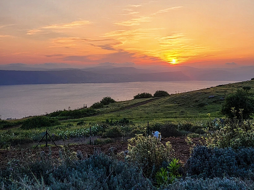 דרום רמת הגולן