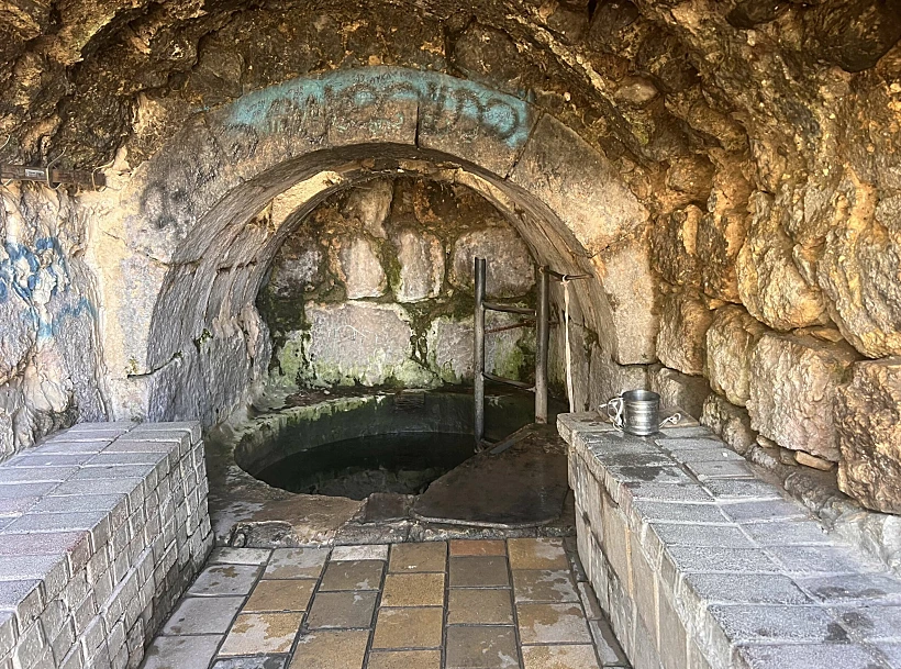 עינות דקלים