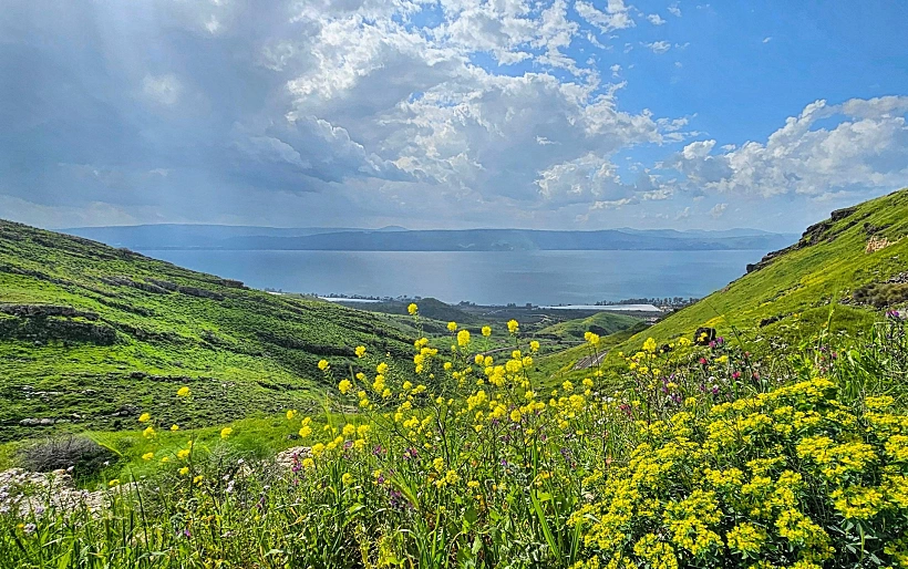 אביב בגולן מבט מסוסיתא