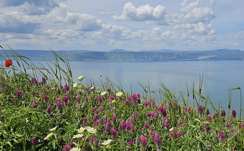אביב במצפה אופיר
