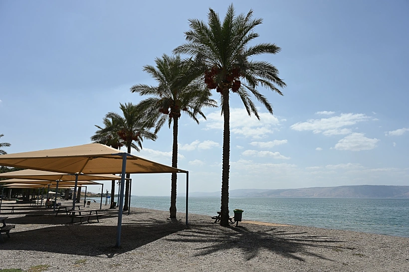 תחזית מזג אוויר קיץ ים חוף חום שמש קיצי נעים בהיר מים צמחייה עץ ירוק