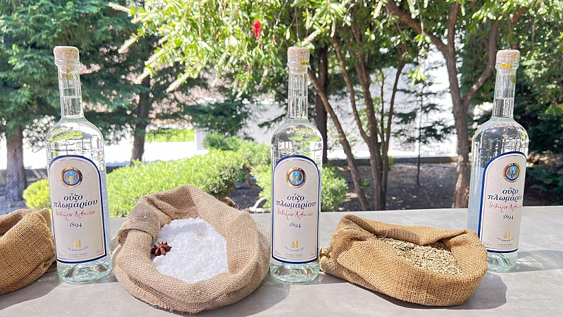 אוזו פלומארי - מותג בינלאומי