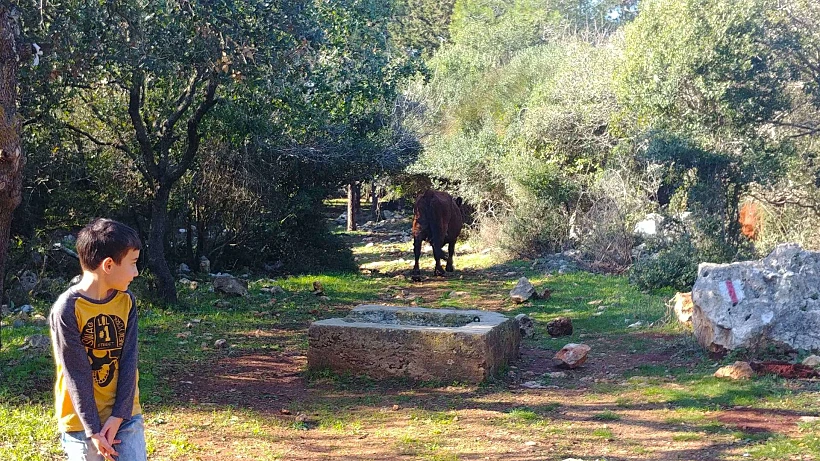מסלול טיול באזור המוחרקה