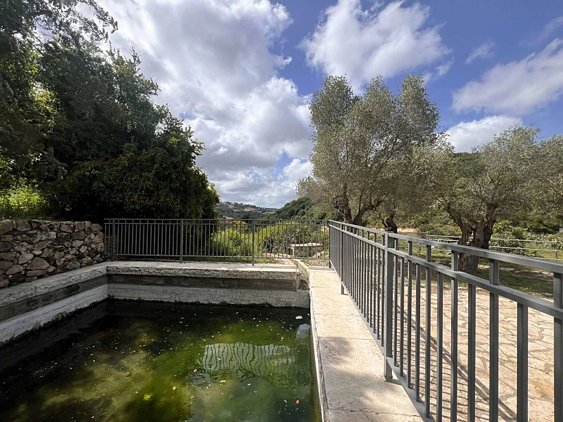 עין אל בלד – עוספיא