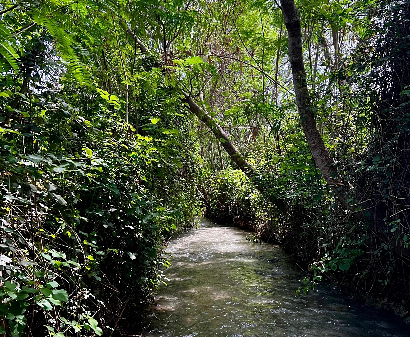 המסלול הרטוב