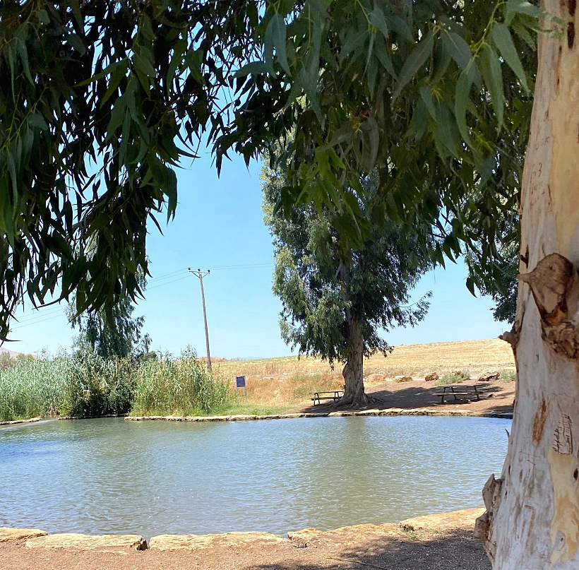 בריכת הטחנה