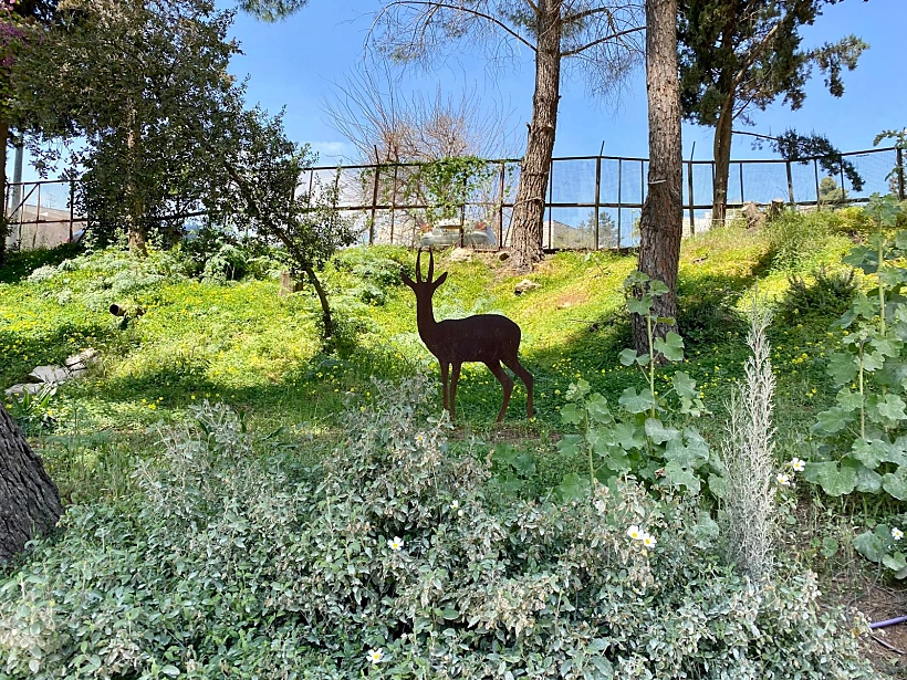 עמק הצבאים ירושלים