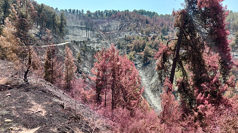 אזורים שהתכלו בשריפות סמוך לקריית שמונה