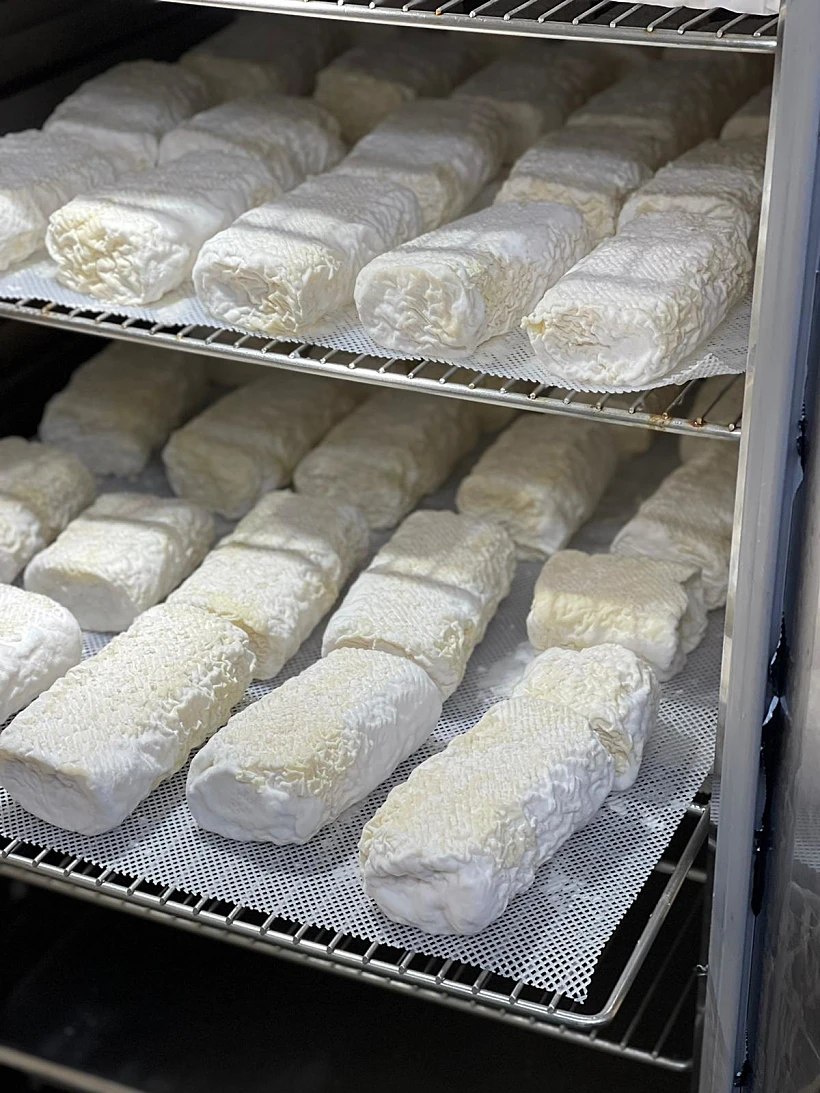 גבינות של משק הר פרחים