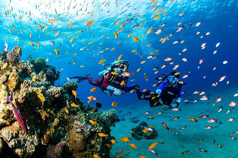 מועדון הצלילה מנטה