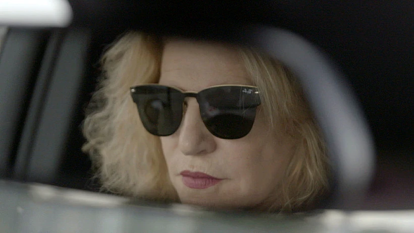 הדס שטייף "אפקט שטייף"