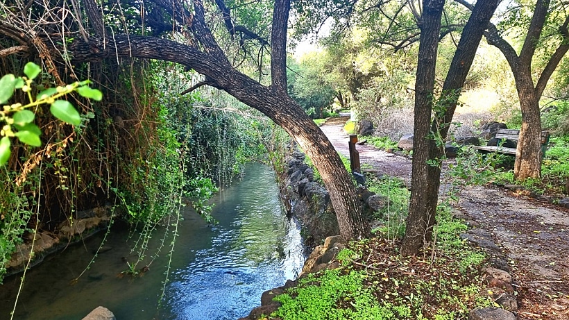 פארק הירדן