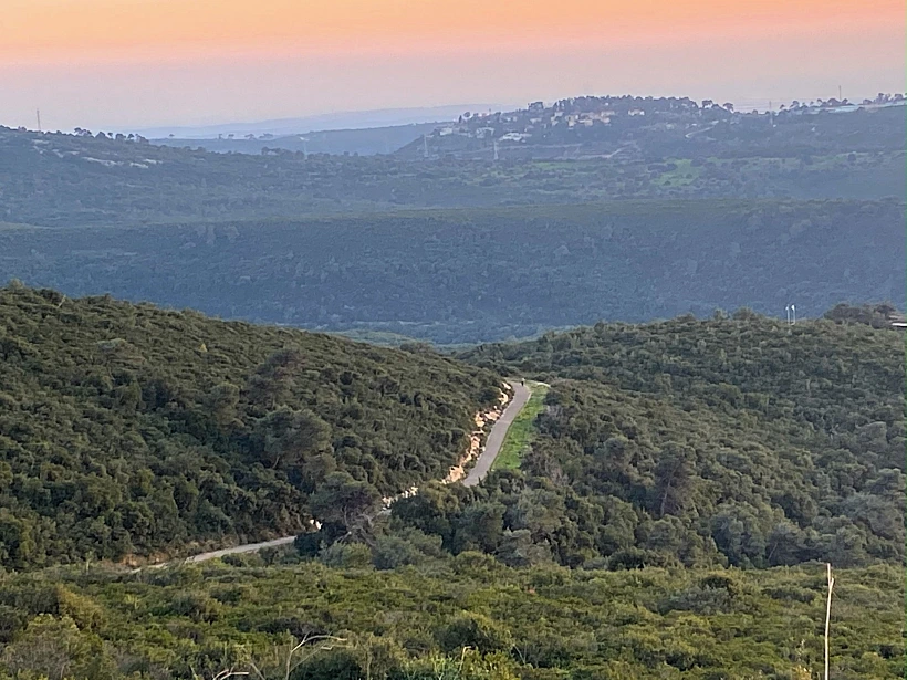 המסלול הנגיש בכרמל