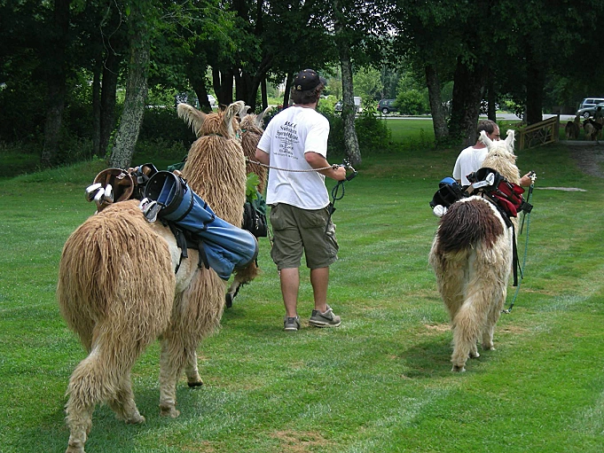 Sherwood Forest Golf Club