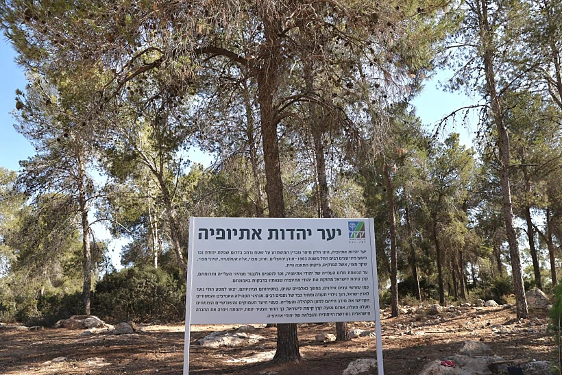 יער יהדות אתיופיה
