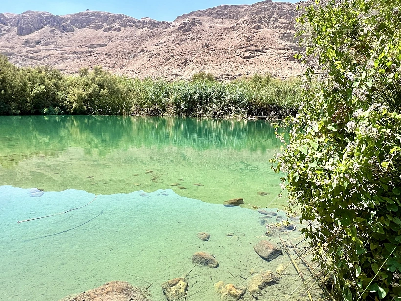 השמורה החבויה בעינות צוקים