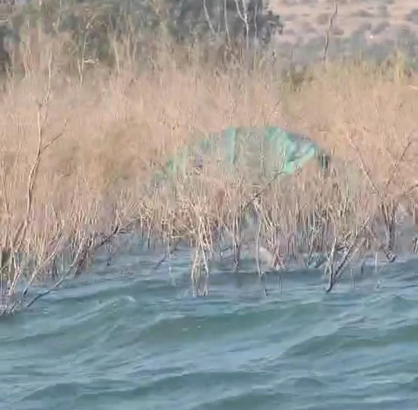 הגלשן שאותר בכנרת כנרת