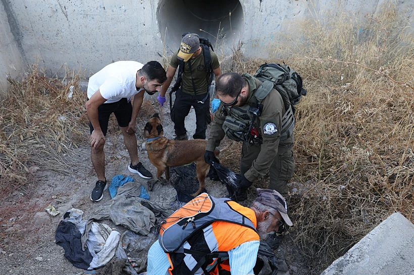 חיפושים אחר היימנוט קסאו