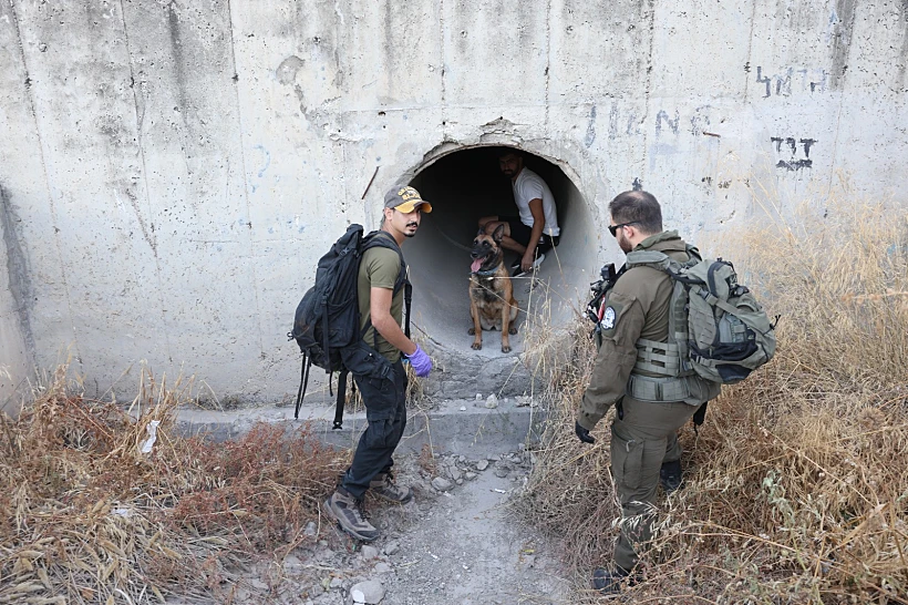 חיפושים אחר היימנוט קסאו