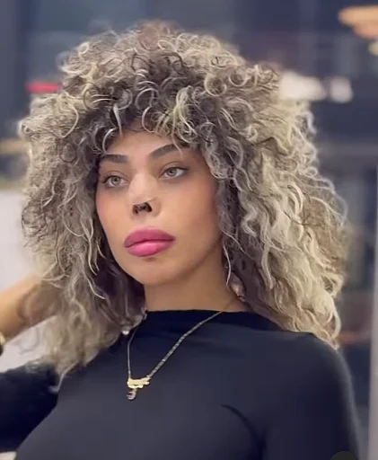 רומי אברג'יל