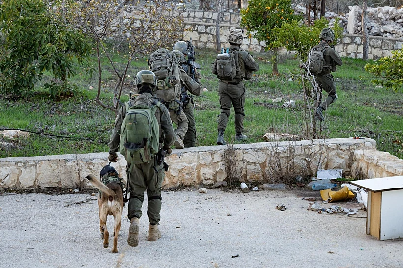 כוחות צה"ל בדרום לבנון