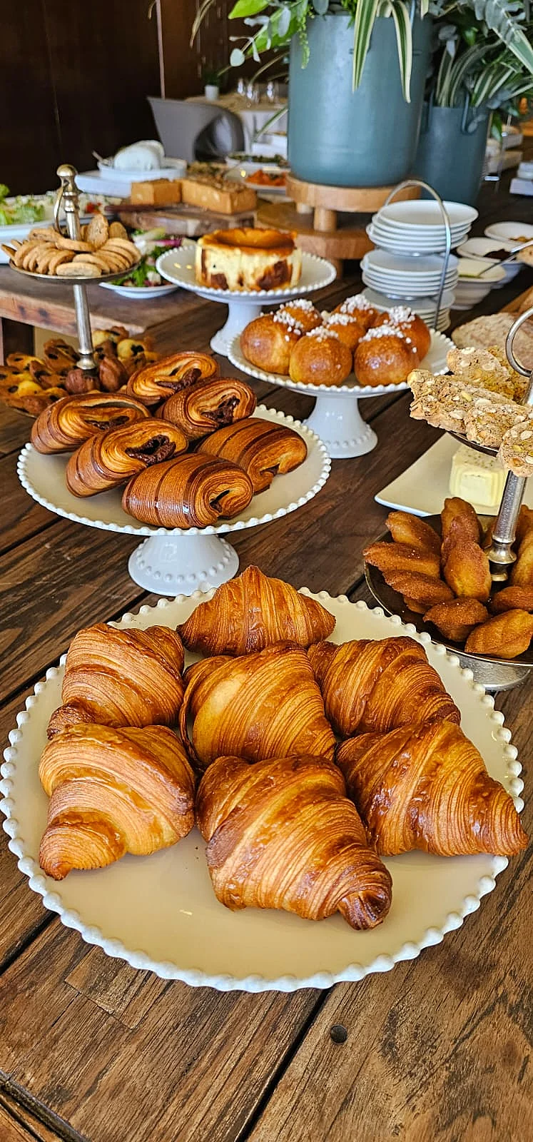 בראנץ', דן אכדיה ריזורט