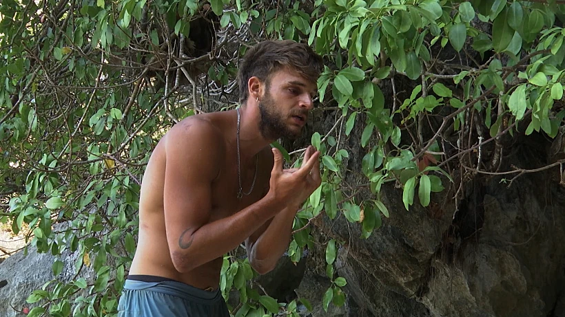 איתמר בר און