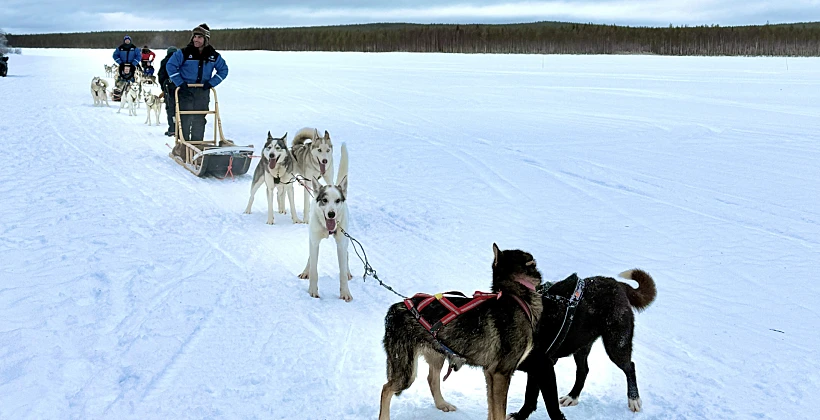 חופשת חורף קסומה בלפלנד פינלנד