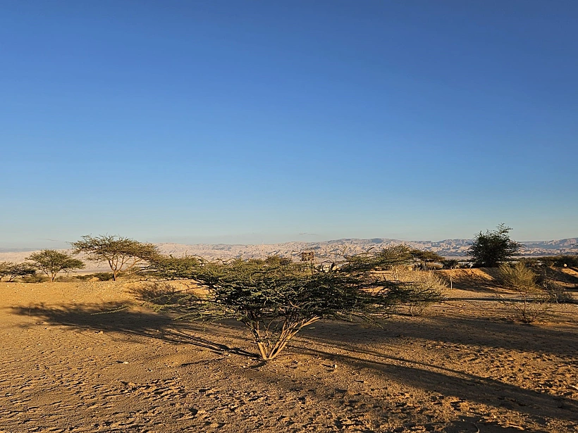 סיור בוטני בנחל גדרון