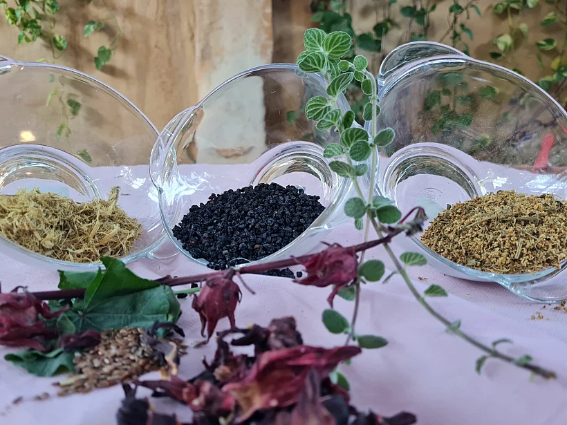 סדנת רוקחות מצמחי מרפא מהמדבר