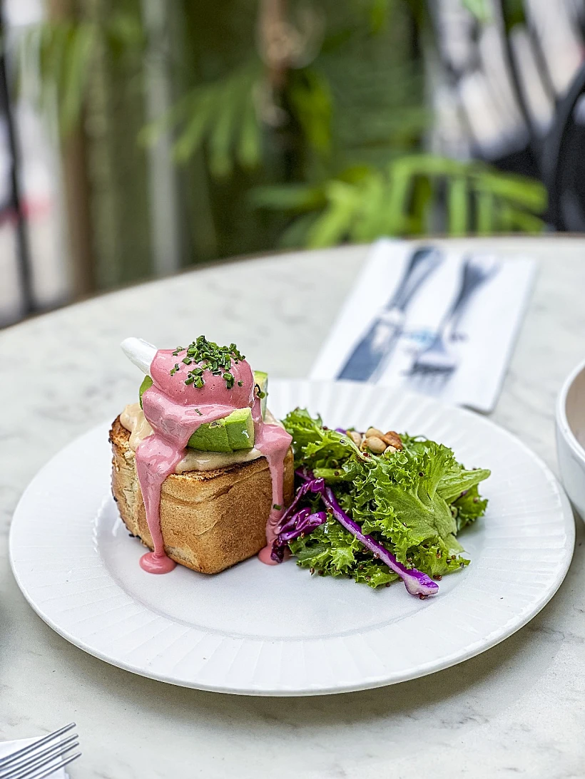 פברואר עולמי, בנדיקט