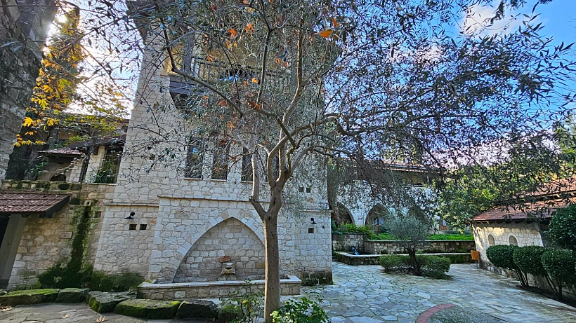 היער הסודי קפריסין